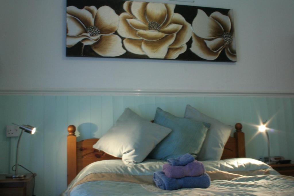 Devon View Guesthouse Swansea Rom bilde