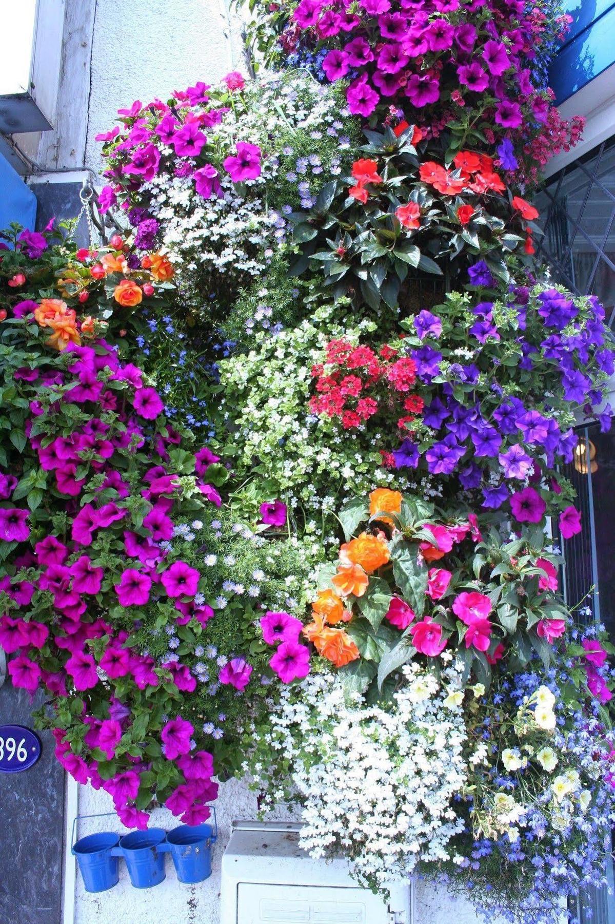 Devon View Guesthouse Swansea Eksteriør bilde