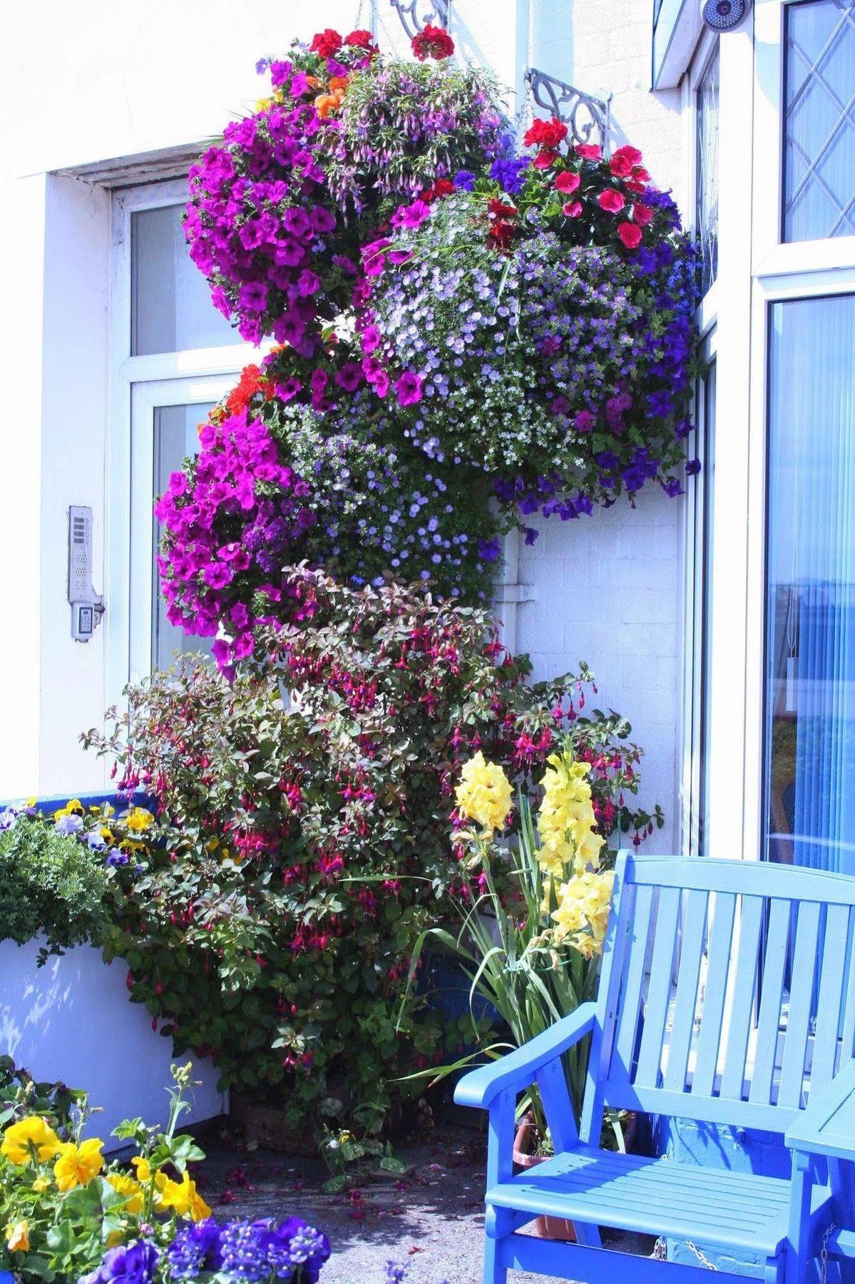 Devon View Guesthouse Swansea Eksteriør bilde